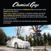 imageChemical Guys ACC601 1 Pack Exterior Detailing Brush  GrayInterior Brushes