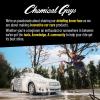 imageChemical Guys AIR22416 Black Frost Air Freshener and Odor Eliminator Great for Cars Trucks SUVs RVs Home Office Dorm Room ampamp More 16 fl oz16 Fl Oz Pack of 2