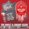 imageChemical Guys Hanging Air Freshener Variety Scent Pack 6 Pack Great for Cars Trucks SUVs RVs Home Garage Workspace Dorm Room ampamp More 2 x 3 Packs Black Frost Cherry Pina Colada  AIR40402