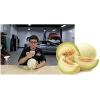 imageChemical Guys AIR22004 Honeydew Premium Air Freshener and Odor Eliminator Great for Cars Trucks SUVs RVs ampamp More Honeydew Scent 4 fl oz4 Fl Oz Pack of 1