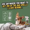 imageGhosted Pet Odor Eliminator Refresh Your Home Car Office ampamp More from Chemical Guys 32 Fl Oz  Fresh Citrus Scent  PCS10232