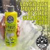 imageChemical Guys CWS30164 Citrus Wash ampamp Gloss Foaming Car Wash Soap Works with Foam Cannons Foam Guns or Bucket Washes For Cars Trucks Motorcycles RVs ampamp More 64 fl oz Half Gallon Citrus ScentSOAP